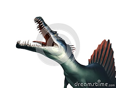 Big snout dinosaur Spinosaurus screams illustration isolate realism. Cartoon Illustration