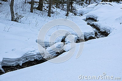 Big snow, Ilanovska valley, Low Tatras mountains, Slovakia Stock Photo