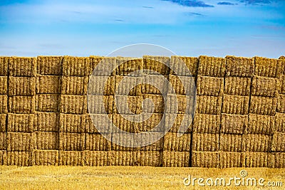 Big stack of rectangular bales of golden hay Stock Photo