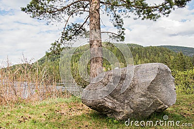 A big stone under a conifer tree. A glade by the lake. Stock Photo