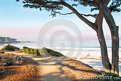 Big Sur, CA, USA Stock Photo