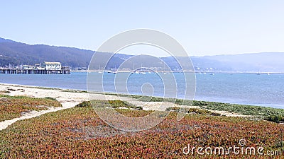 BIG SUR, CALIFORNIA, UNITED STATES - OCT 7, 2014: Hiking path along the Pacific Ocean in Garrapata State Park Editorial Stock Photo