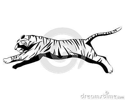 Big tiger jumping Vector Illustration