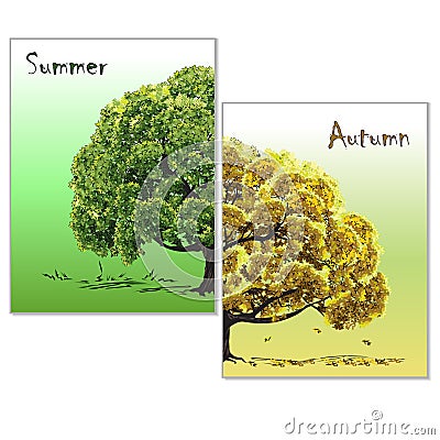 Big tree, autumn and summer, diptych Vector Illustration