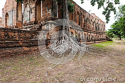 Big tree with roots several decades old and the old brick wall attracts visitor, Ayutthaya Stock Photo