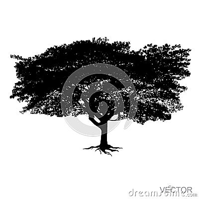 Big tree silhouette Vector isolated on white background Vector Illustration