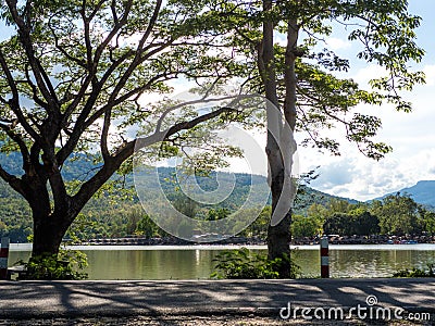 Big trees and road, distant mountains, and cloudy sky at Huay Tung Tao, Chiang Mai, Thailand Stock Photo