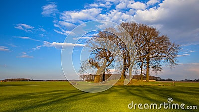 Big Trees on a tumulus grave mound in bright colors Stock Photo