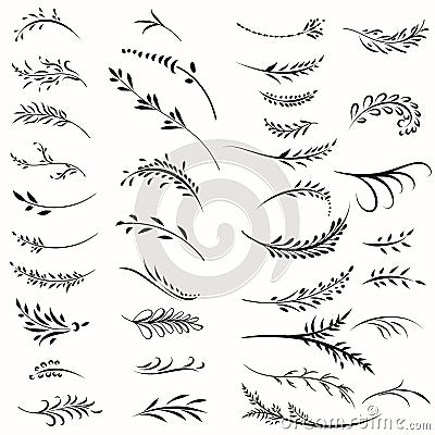 Big vector collection of floral calligraphic branches in vintage style Vector Illustration