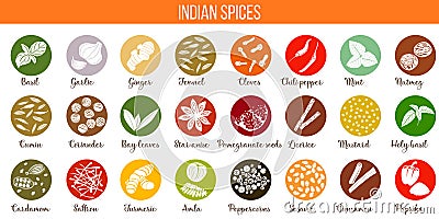 Big vector set of popular culinary spices silhouettes. Ginger, chili pepper, garlic, nutmeg, anise etc. Vector Illustration