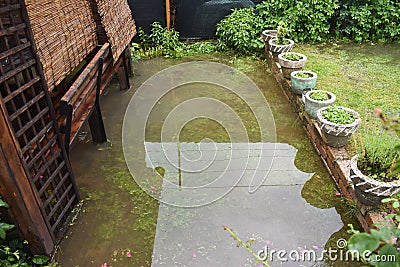 Big water floods after massive storm rain. The garden and the plants are covered with dirty water. Many damages after the heavy Stock Photo