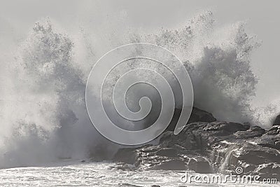 Big wave splash Stock Photo