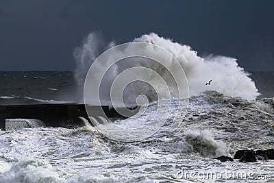 Big wave during a storm Stock Photo