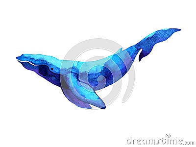 Big whale watercolor painting hand drawn illustration design Cartoon Illustration