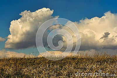 Big White Puffy Clouds over Grassy Landscape Stock Photo