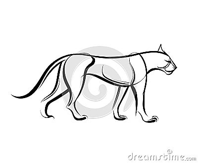 Big wild cat. Cheetah line vector illustration. Vector Illustration