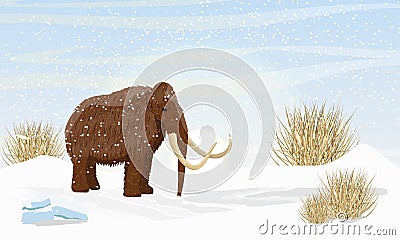 Big woolly mammoth on a plain covered with snow. Dry frozen grass. Prehistory animals. Ice Age Vector Illustration