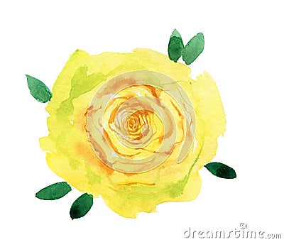 Big yellow flower. Watercolor painting. Beautiful watercolor flower Cartoon Illustration