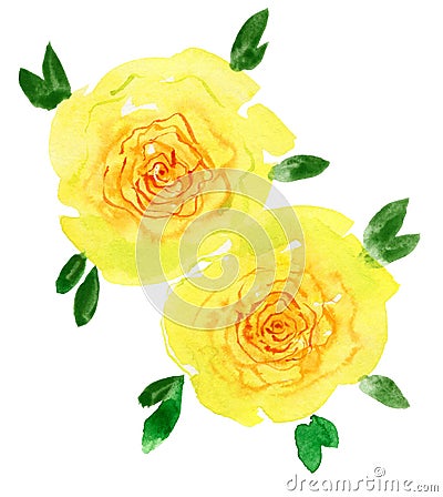 Big yellow flower. Watercolor painting. Beautiful watercolor flower Cartoon Illustration