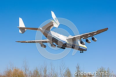 The biggest airplane in the world Antonov An-225 Mriya landing in Antonov Airport in Gostomel,Ukraine Editorial Stock Photo