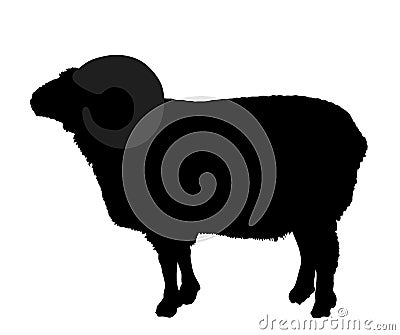 Bighorn ram vector silhouette illustration isolated on white background. Lamb meat. Vector Illustration