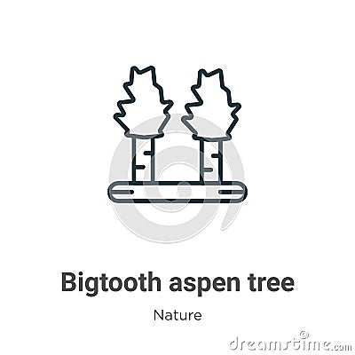 Bigtooth aspen tree outline vector icon. Thin line black bigtooth aspen tree icon, flat vector simple element illustration from Vector Illustration