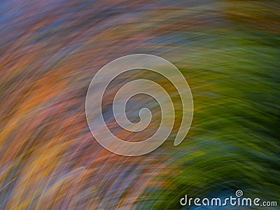 Bigtooth Maple Tree with Autumn Leaves Photographed with ICM, Intentional Camera Movement Stock Photo