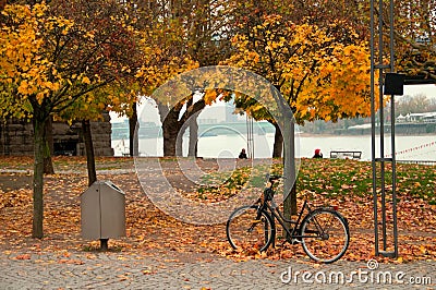 Bike in the autumn park, Cologne/ Koeln Stock Photo