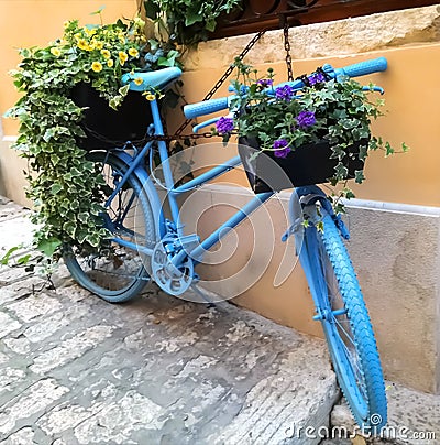 Bike and flowers Stock Photo