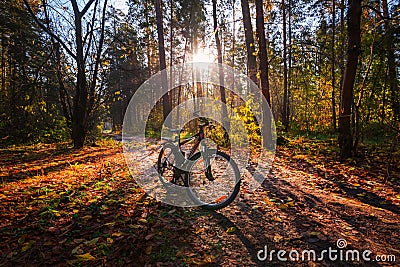 Bike on a forest road. Siberia, Russia Editorial Stock Photo