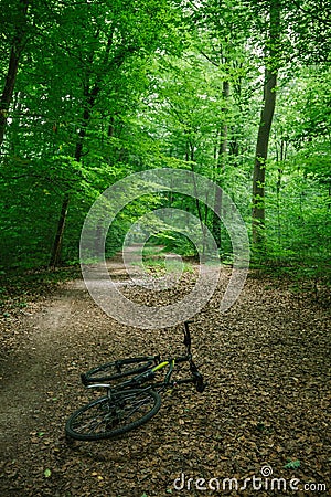 bike lying on path in green beautiful forest Stock Photo