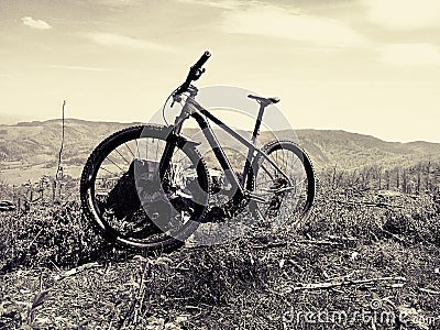 Bike mountain bush Stock Photo