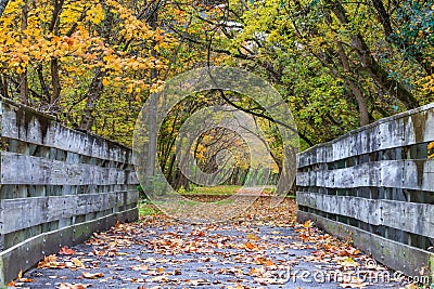 Bike Path Bridge in Autumn Stock Photo