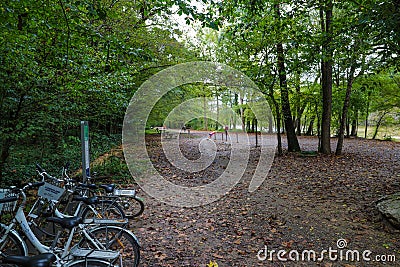A bike rack filled with white bikes on a hiking trail filled with fallen autumn leaves surrounded by lush green trees Editorial Stock Photo