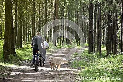 Bike ride in the forest. Outdoor recreation on bicycles Editorial Stock Photo