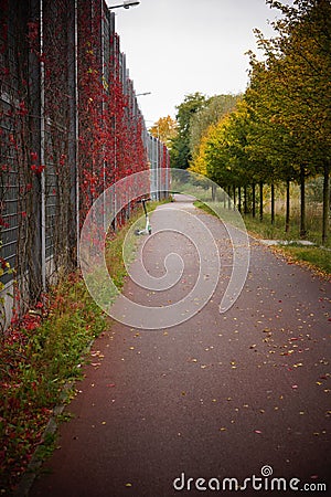 Bike route with a parked electric scooter and a high sound barrier on the Hlonda street Editorial Stock Photo
