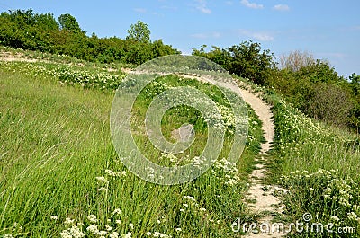 Bike track trail bends tilted jumps in meadow trail enduro meadow downhill racing enduro bicycle sport mountain summer alpen Stock Photo