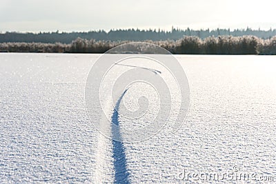 Bike tracks Stock Photo