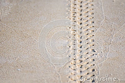 The bike tracks on the sand beach Stock Photo