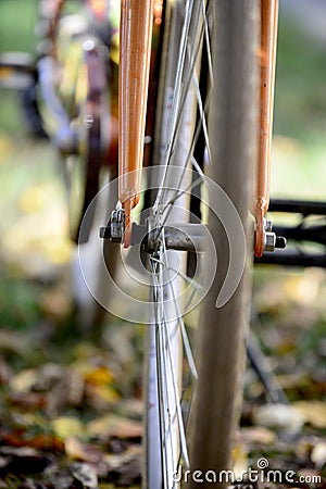 bike wheels, pneumatics on an autumn leaves, image of a Stock Photo