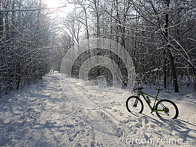 Bike winter wood Editorial Stock Photo