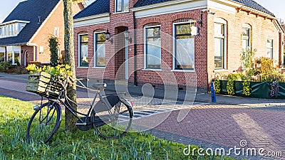 Bike with yellow daffodil The Netherlands Stock Photo