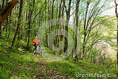 Biker on the forest road Stock Photo