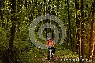 Biker on the forest road Stock Photo