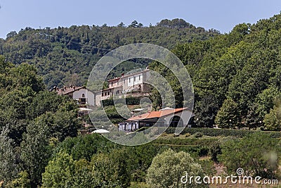 The Bilancino Lake. Lago di Bilancino, Barberino del Mugello, Florence, Italy: landscape at dawn of the picturesque lake in the Stock Photo