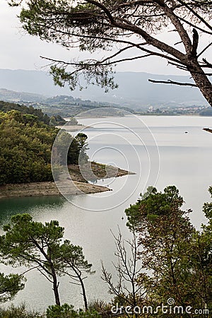 Bilancino lake landscape Stock Photo