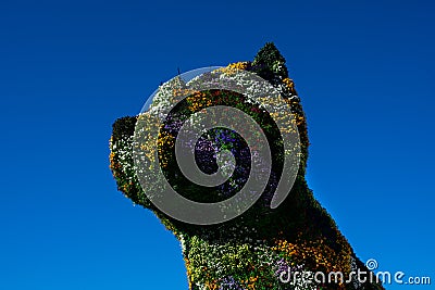 Puppy sculpture covered with flowers Editorial Stock Photo