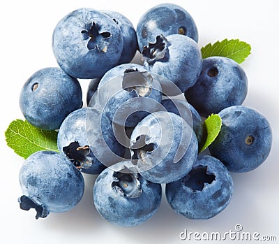 Bilberry Stock Photo