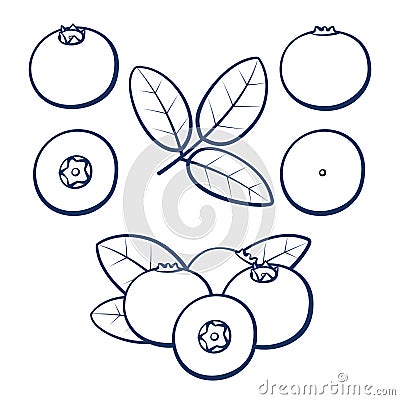 Outline berries of blueberries with leaves on a white background. Vector Illustration