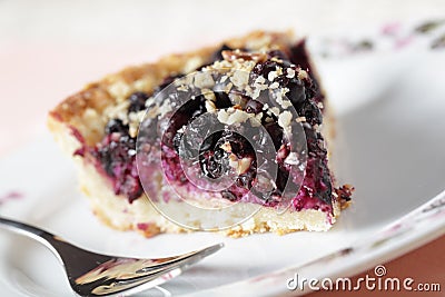 Bilberry pie Stock Photo